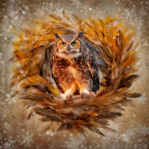 Great Horned Owl by Maureen Ravnik