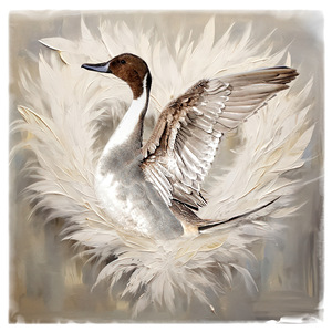 Northern Pintail by Maureen Ravnik 
