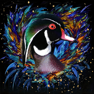 Wood Duck by Maureen Ravnik 