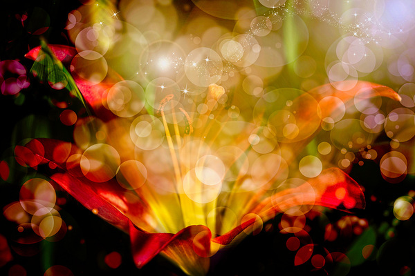 Where the Magic Begins Print