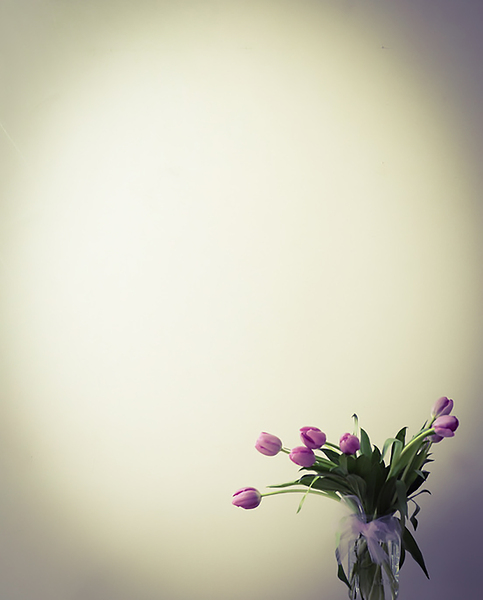 Spring Spotlight by Andrea Bunar  Print