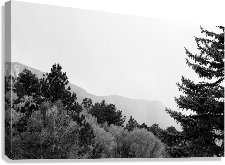 PA032608 Canvas Print