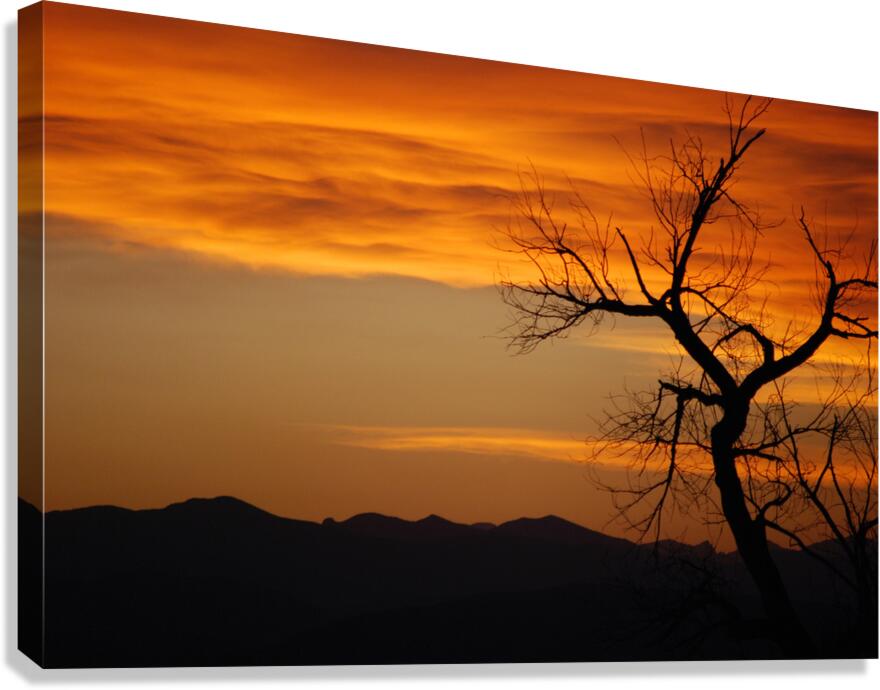 Sunset Canvas Print