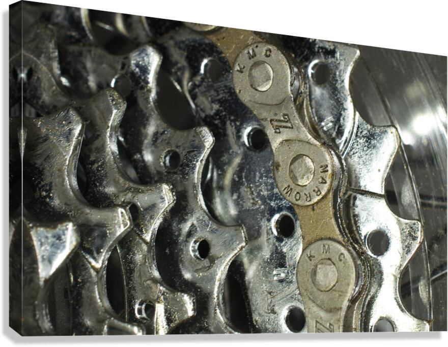 Bicycle Gears Canvas Print