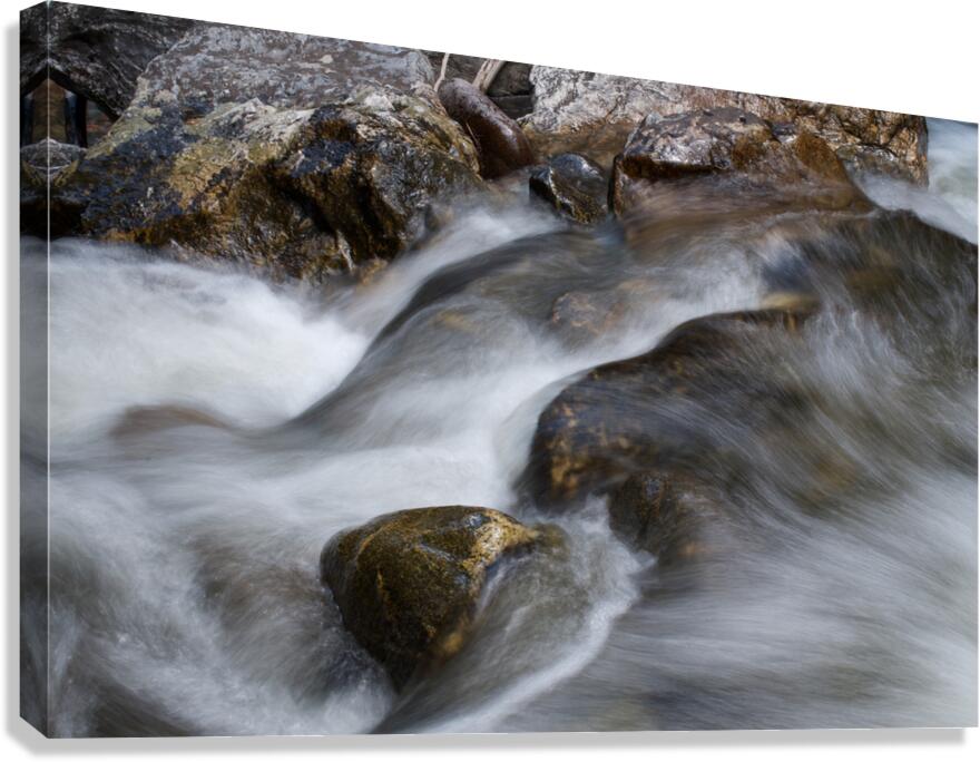 Flowing Stream Canvas Print