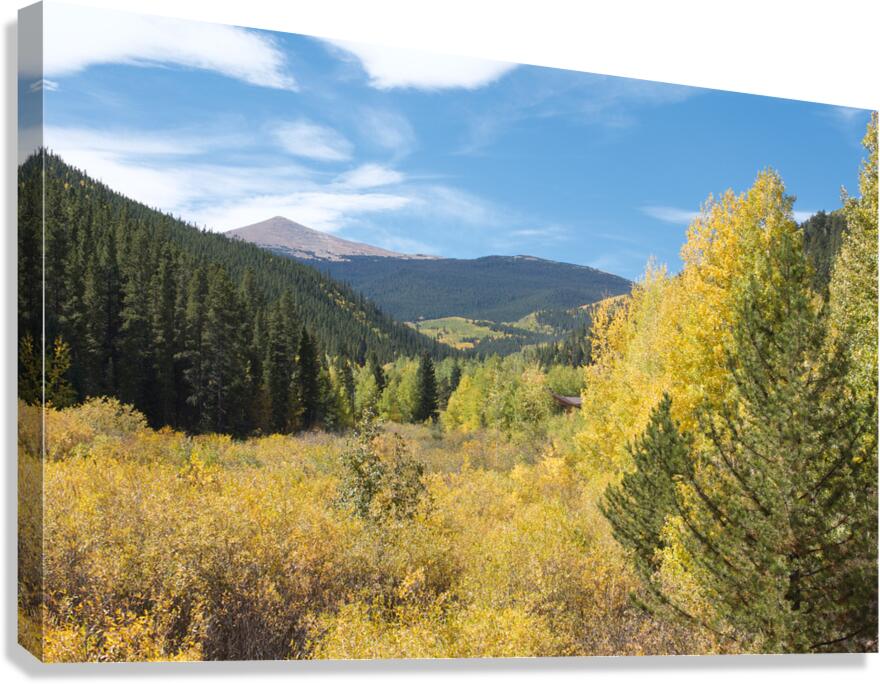 Fall Colors 4 Canvas Print