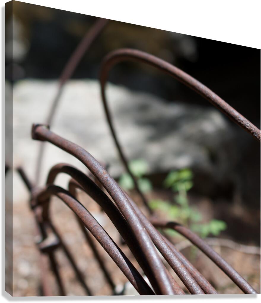 Rusty Curves Canvas Print