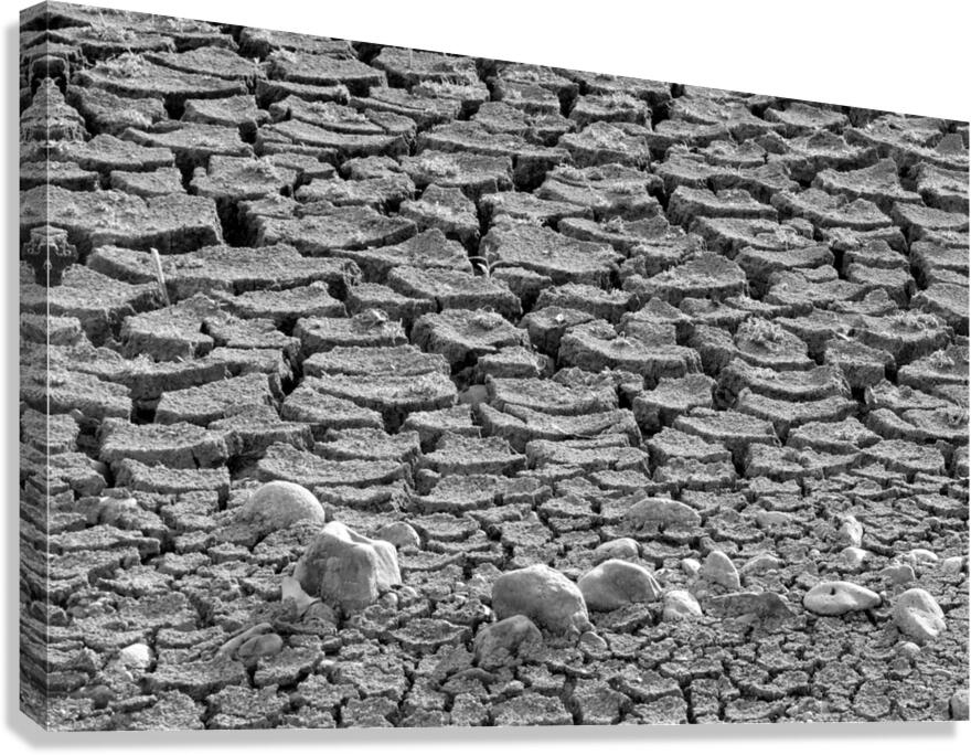 Cracked Earth Canvas Print