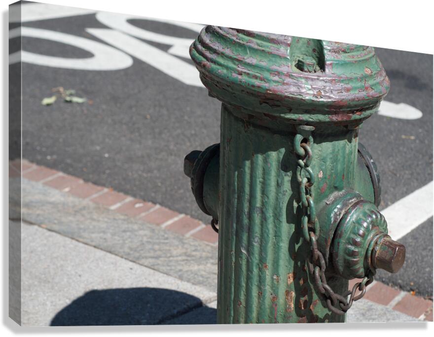 Green Hydrant Canvas Print