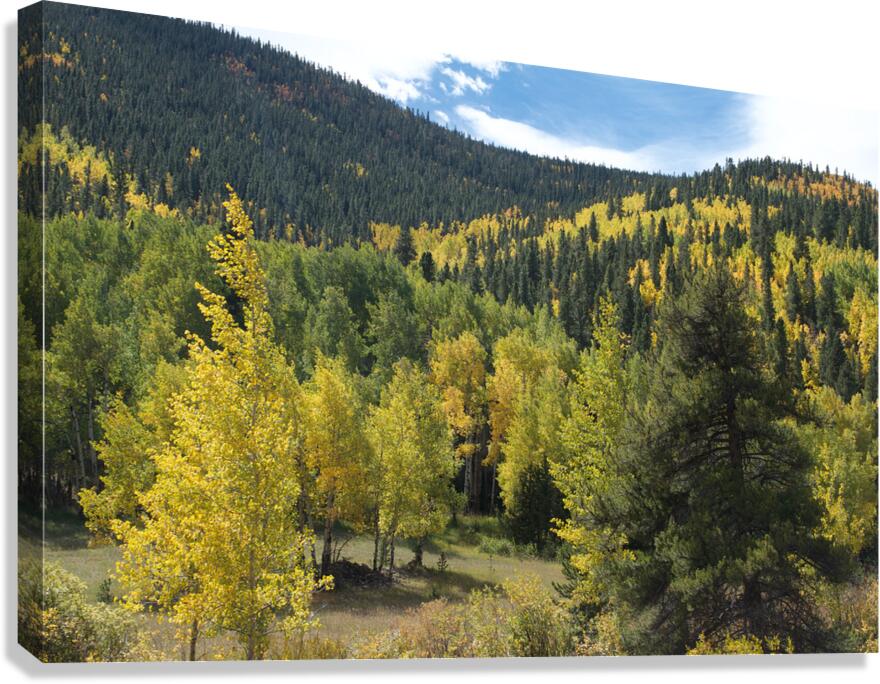 Wavy Fall Colors Canvas Print