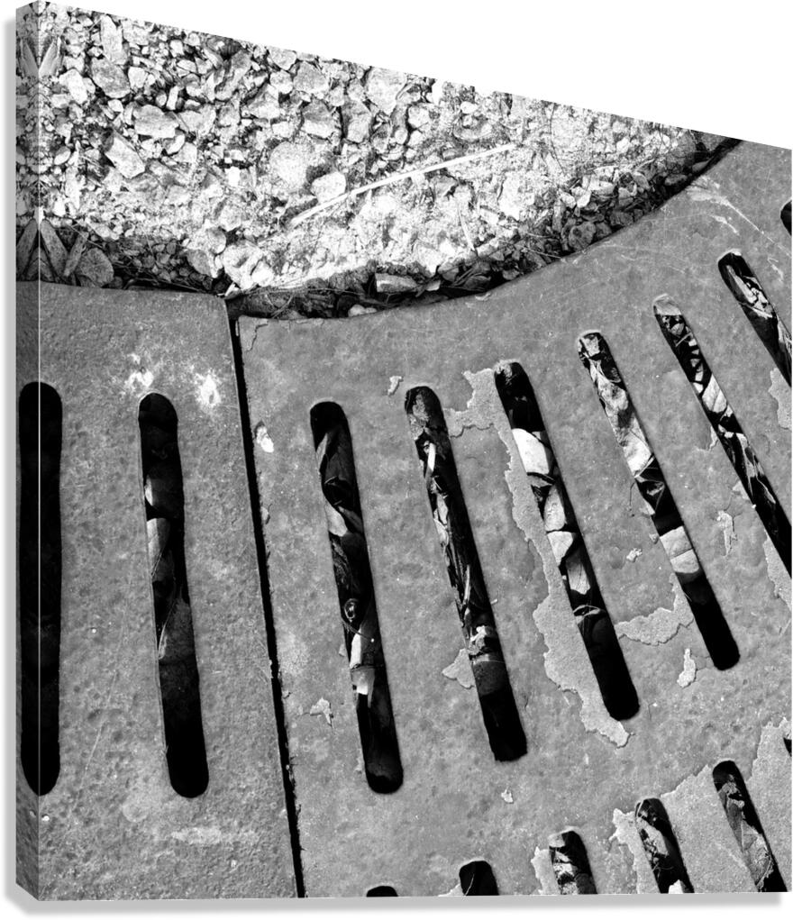 Tree Grate Canvas Print