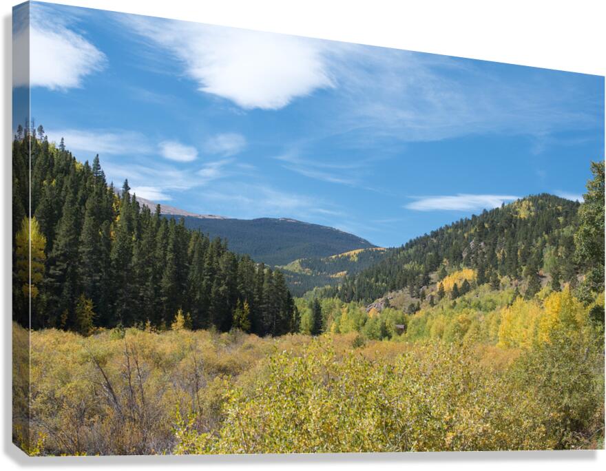 Fall Colors 2 Canvas Print