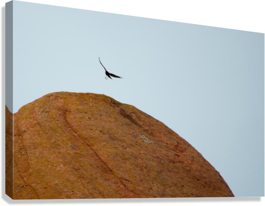 Roxborough 2 Canvas Print
