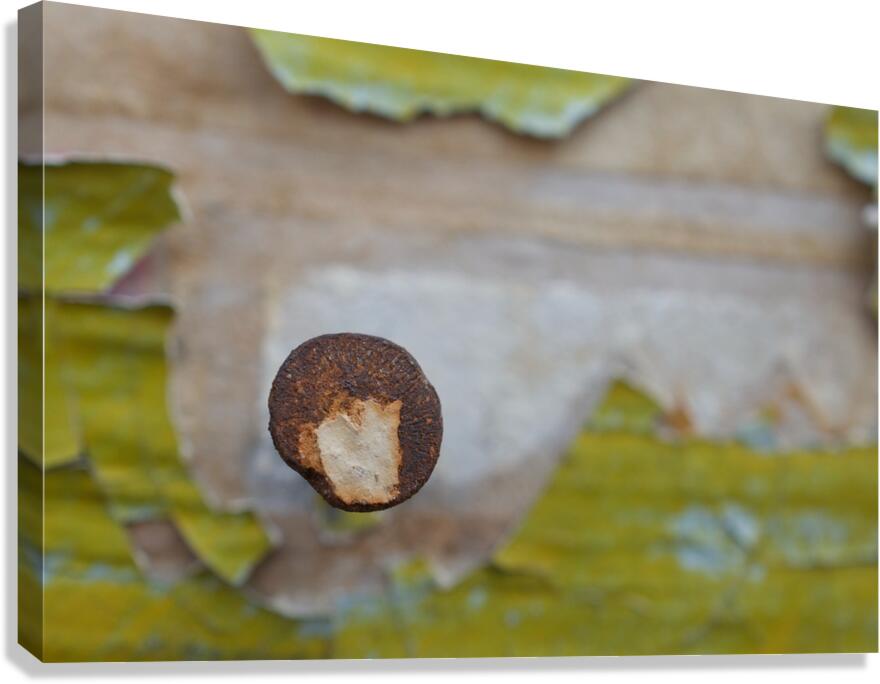 Nail Head Canvas Print