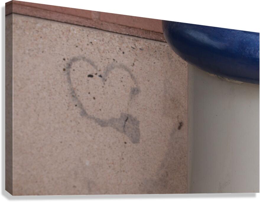Heart Foundation Canvas Print