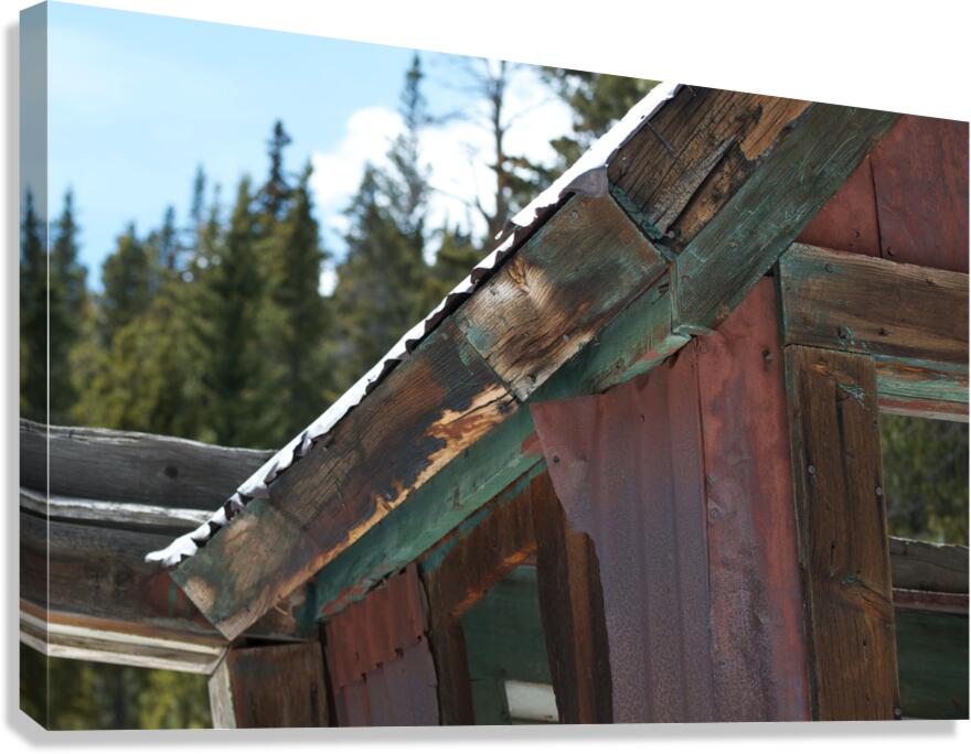 Rusty Shed Canvas Print