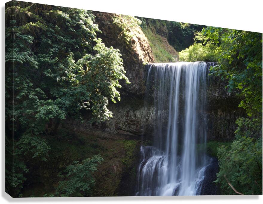 Waterfall 2 Canvas Print