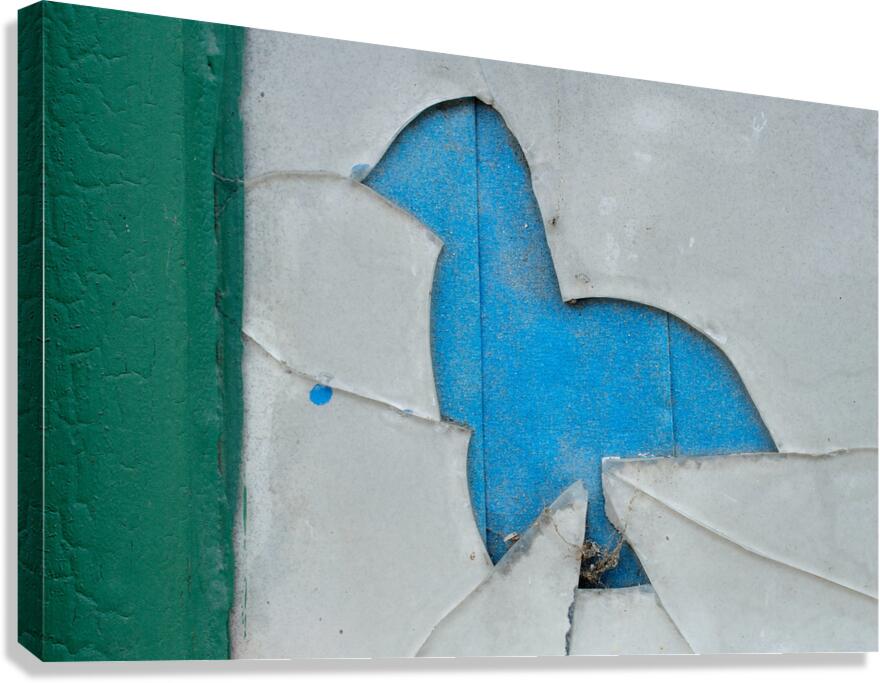 X  Canvas Print