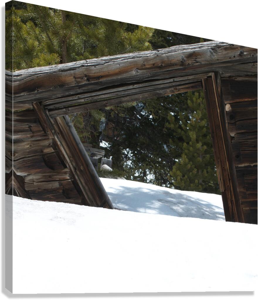  Falling Shed Canvas Print