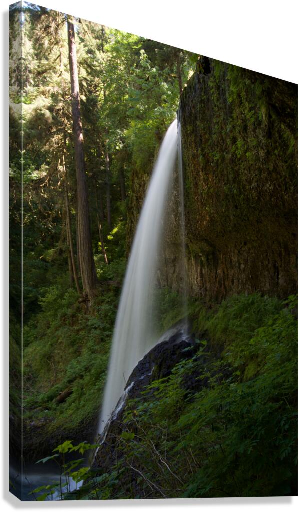 Waterfall 4 Canvas Print