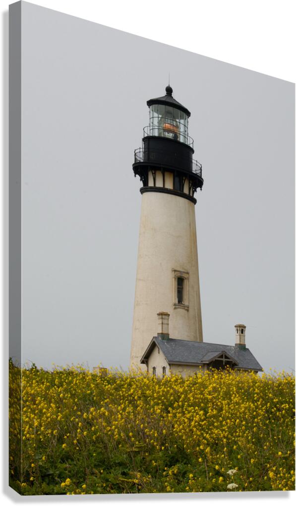 JB0 4272 Canvas Print