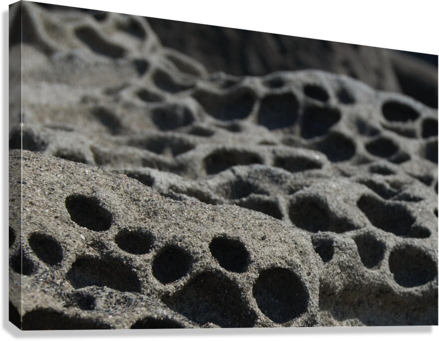 JB0 4199 Canvas Print