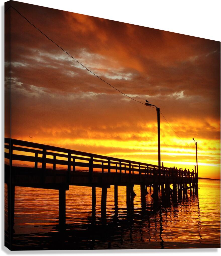 IMG 4172 Canvas Print