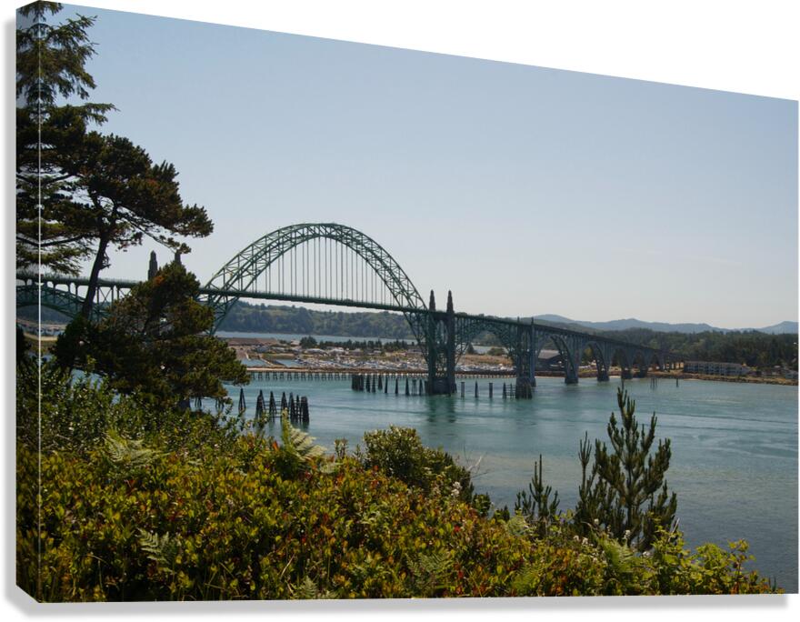 JB0 4242 Canvas Print