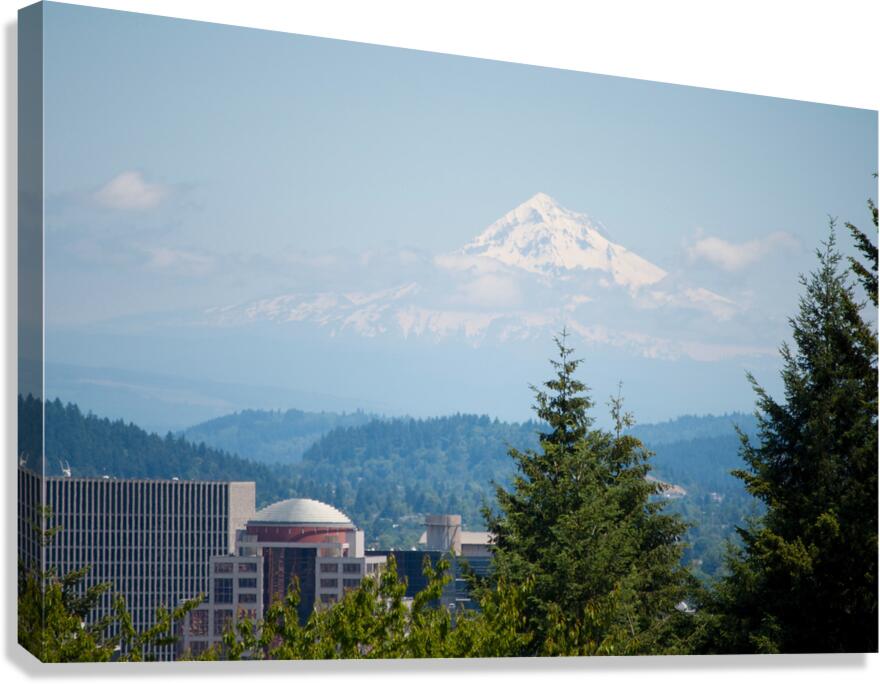 JB0 4064 Canvas Print