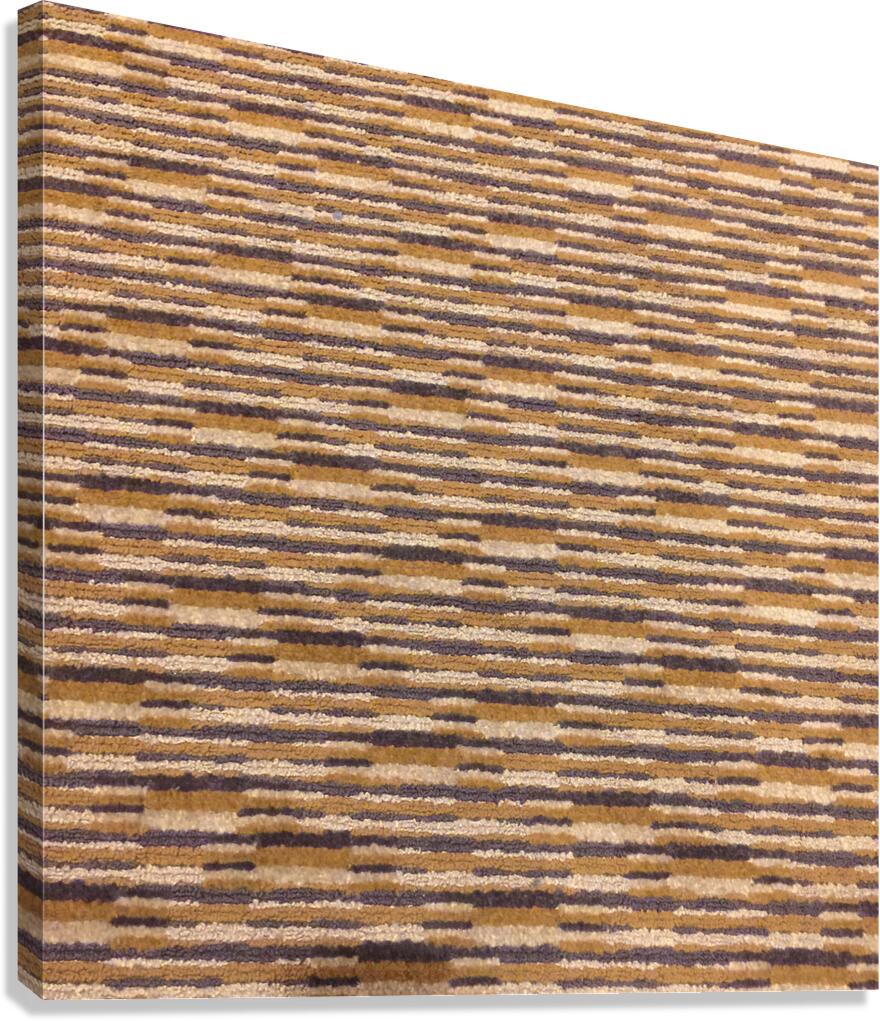 Carpet 3 Canvas Print