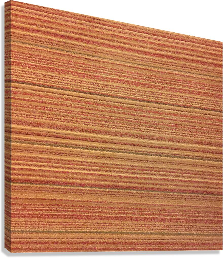 Carpet 29 Canvas Print