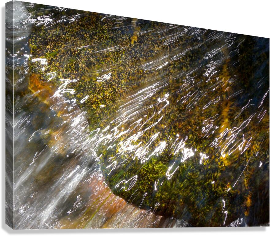 DSCN2238 Canvas Print