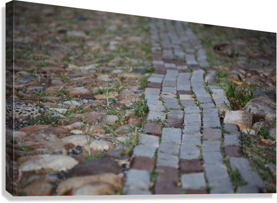 Brick Road Canvas Print