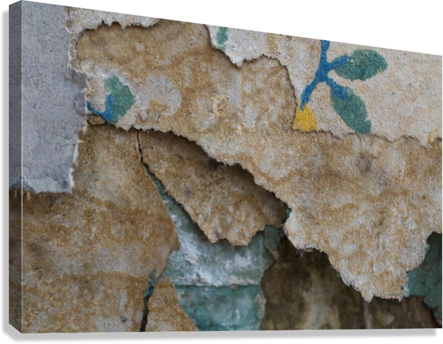 Torn Wallpaper Canvas Print