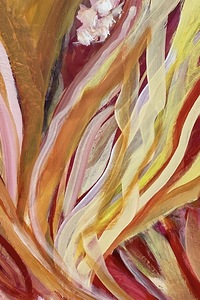 79FBA589 E878 46EC 85EE C56E9B27D15D