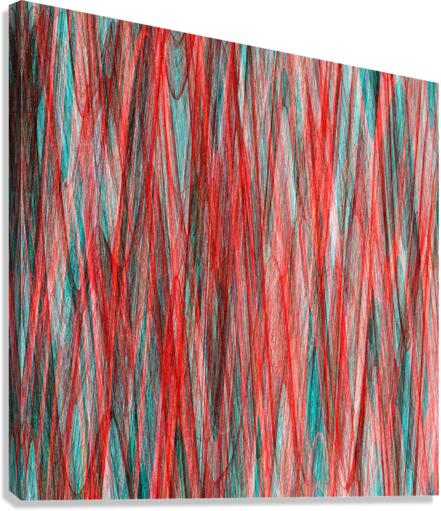 Unnoticed 06 Canvas Print