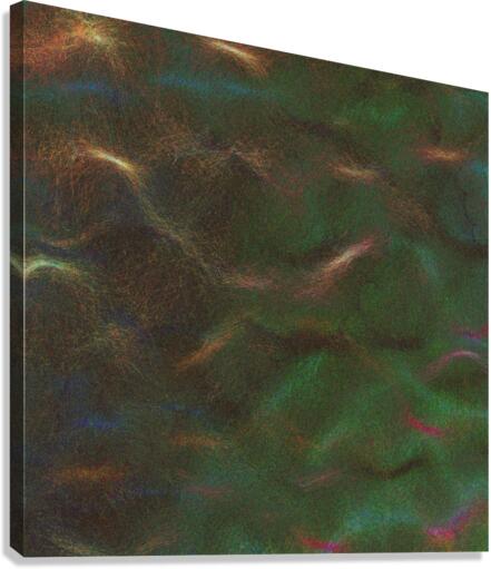 Bloomkins 05 Canvas Print