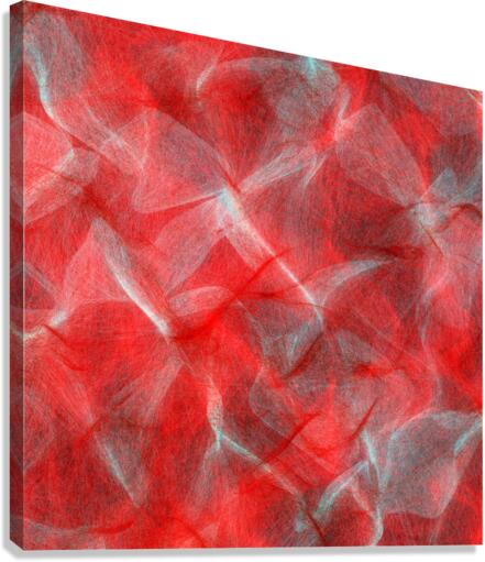 Illwinded 2 Canvas Print