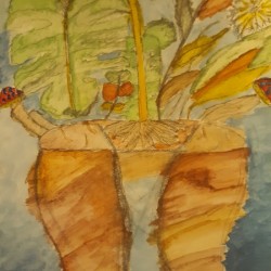 Distorted Growth