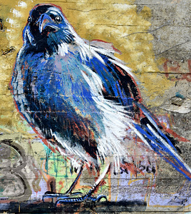 oiseau 2