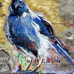 oiseau 2