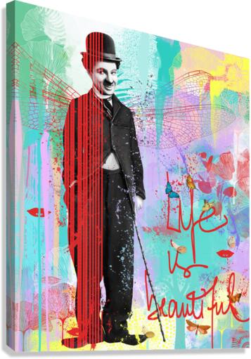Smile Canvas Print