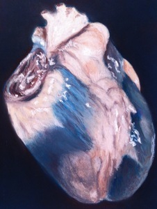 Seanan Heart