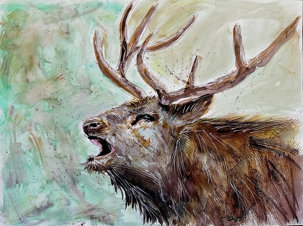 Call of the Wild Spirit by Ruben Gomez