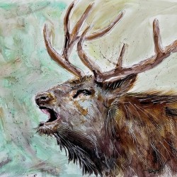 Call of the Wild Spirit