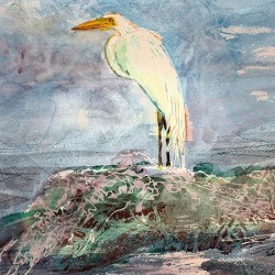 Egret 2024