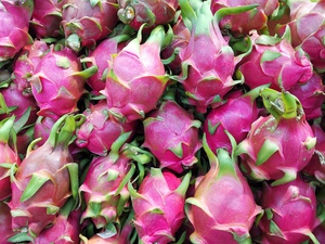 Dragon Fruits