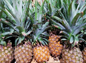 Pineapples