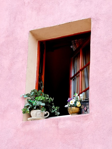 Window in Pink Wall Print