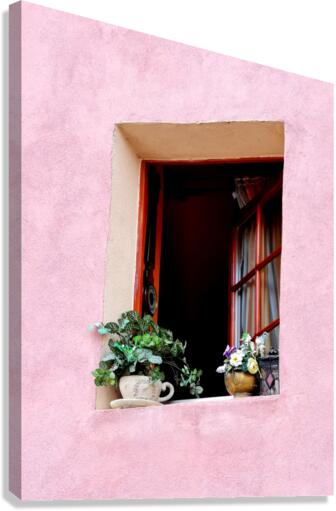 Window in Pink Wall Canvas Print